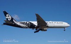新西蘭空運-新西蘭航空一架客機被閃電擊中后返