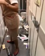 阿聯酋航空客機飛行中遇湍流 乘客與機組人員受傷-紐約國際快遞