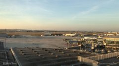 巴黎機場頻發(fā)“失貓案” 失主怒告機場和航司-烏克蘭航空