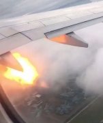 加拿大一飛機發(fā)動機遭遇鳥擊起火 安全返航-國際快遞價格