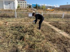 阿曼的空運(yùn)阿勒泰機(jī)場(chǎng)開展人工觀測(cè)場(chǎng)隱患排查治理工作