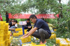 南美國際空運-南航十年架起18萬人的援疆之路