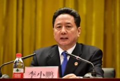 空運一噸貨物到洛杉磯-李小鵬在部安委會上強調：推進安全生產治理體系和治