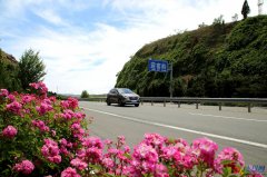 <b>歐洲航運代理-海陽公路“黨建+”模式唱響為民服務主旋律</b>