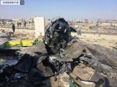 海關(guān)編碼查詢-加拿大總理要求對(duì)伊朗誤擊客機(jī)進(jìn)行全面調(diào)查