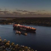 海運費-驕傲！2019年的最后一天，陽明海運干了這件事…