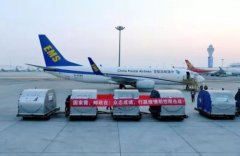 上海空運公司全球采購！眾多企業打通海外渠道加大防疫物資供應