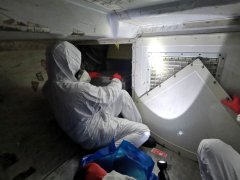 迪拜空運(yùn)-廈航專家釋疑：疫情之下返工，坐飛機(jī)安全嗎？