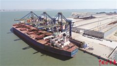 海運訂艙-新冠肺炎疫情當前 國際干散貨運輸市場何去何從？