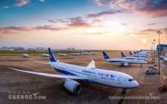 國際海運廈航：2019年旅客滿意度最高 投訴率八大航司中最低