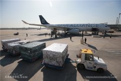 科倫坡海運費國航包機運送山東省聯合工作組飛赴倫敦