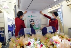 哈薩克斯坦空運(yùn)最大規(guī)模！中國(guó)民航51架包機(jī)接7000余名援鄂醫(yī)護(hù)人員回家