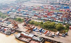 連續(xù)15天吞吐量2000標箱以上，陽邏港外貿(mào)進出口提速！