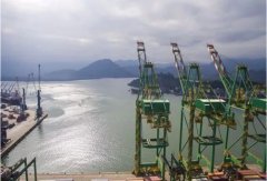 導致船只等待時間長達一個月
-全球物流查詢