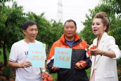 申通董事長陳德軍親赴湖北田間地頭，助力農產品上行
-深圳出口空運