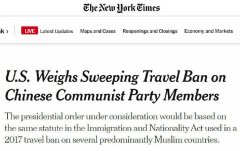 美媒：美國考慮對所有中國共產黨員實施旅行禁令
-維薩格海運費