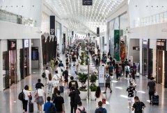 客運業務呈現快速增長趨勢
-順豐國際