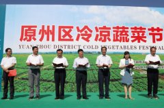 成片的葉子蔬菜
-寧波海運