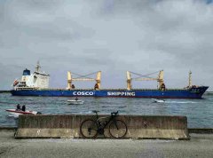 中遠海運散貨5.3億美元定購10條散貨船？
-空運價格表