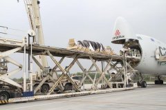  圖源：大河網 7月31日凌晨
-蔚山海運費