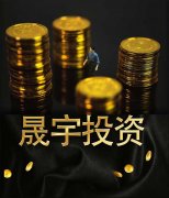 晟宇投資對疫情之下的投資思考
-空運貨運代理國際