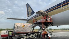 以增強(qiáng)財(cái)務(wù)情況
-墨西哥空運(yùn)價(jià)格