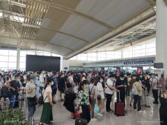 南昌出港廣州、深圳、天津、重慶、較同期增長約5成
-布達佩斯海運費