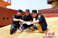 美盤豆類商品已經不再平靜
-土耳其空運