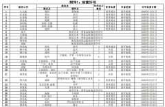  附件2.國內公司國際航線加班包機批復.pdf 附件3.境外公司國際航線加班包機批