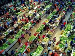 而是生產(chǎn)、加工、倉儲、運輸、銷售等各個環(huán)節(jié)都標準化、綠色化、智慧化
-海