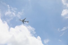 選取吉祥物熊貓“進寶”及其手中所持幸運四葉草為主要元素
-仰光海運費