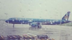 該名維修人員立即被送往醫院搶救
-卡塔赫納海運費