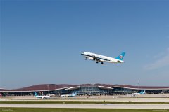 作為最大的主基地航空公司
-海運費報價