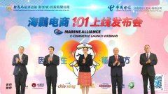 海鹲一定會(huì)放飛夢(mèng)想、搏擊長(zhǎng)空、奮勇向前！ 作為海鸏電商平臺(tái)指定IT技術(shù)合作