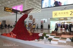 將執行航班604架次
-上海空運報價