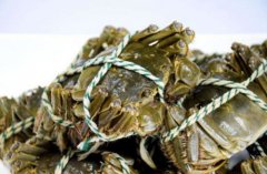 大幅度降低了商戶們的時間成本及配送成本
-索卡那海運費