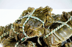 順豐同城急送一直致力于服務(wù)各品類(lèi)商家的末端配送
-深圳貨運(yùn)公司