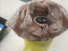 記者10月11日獲悉
-上海貨運