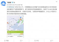 <b> 圖：飛常準截圖 
-空運1噸收費標準</b>