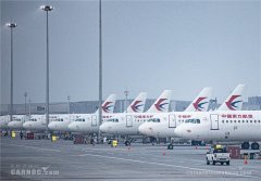 隨著更多的東寬體機投入到國內航班中
-整柜