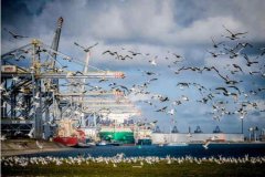 一次加注可供航行20000多海里
-國(guó)際貨代