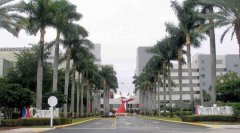 當一名分析師問及美國疾病控制中心郵輪復航的時間時
-國際物流