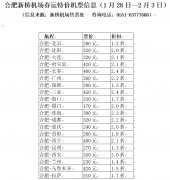 合肥新橋機場春運發送旅客有看超100萬人次（附圖）
-物流