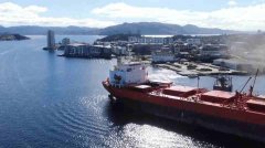 既運輸大宗商品又經營油輪的模式給這家航運公司帶來了利潤增長
-美國海派