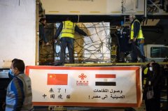 希望埃及早日戰勝疫情-深圳物流