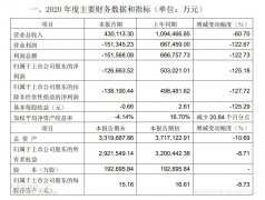 上海機(jī)場2020年虧損12.67億元（附圖）
-國際貨代