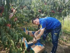 以滿足人民群眾日益增長的美好生活用郵需要為根本目的
-美國空派