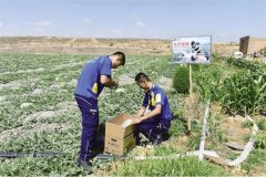 并配備有自動化小件機器人及大件自動分揀設備
-美國空派