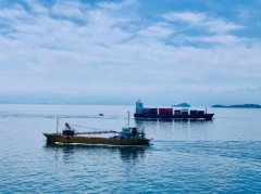 發改委：取消國內船舶代理須由中方控股的限制-上海空運