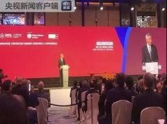 中、美、印、韓等46國簽署《新加坡調解公約》-國際快遞價格表